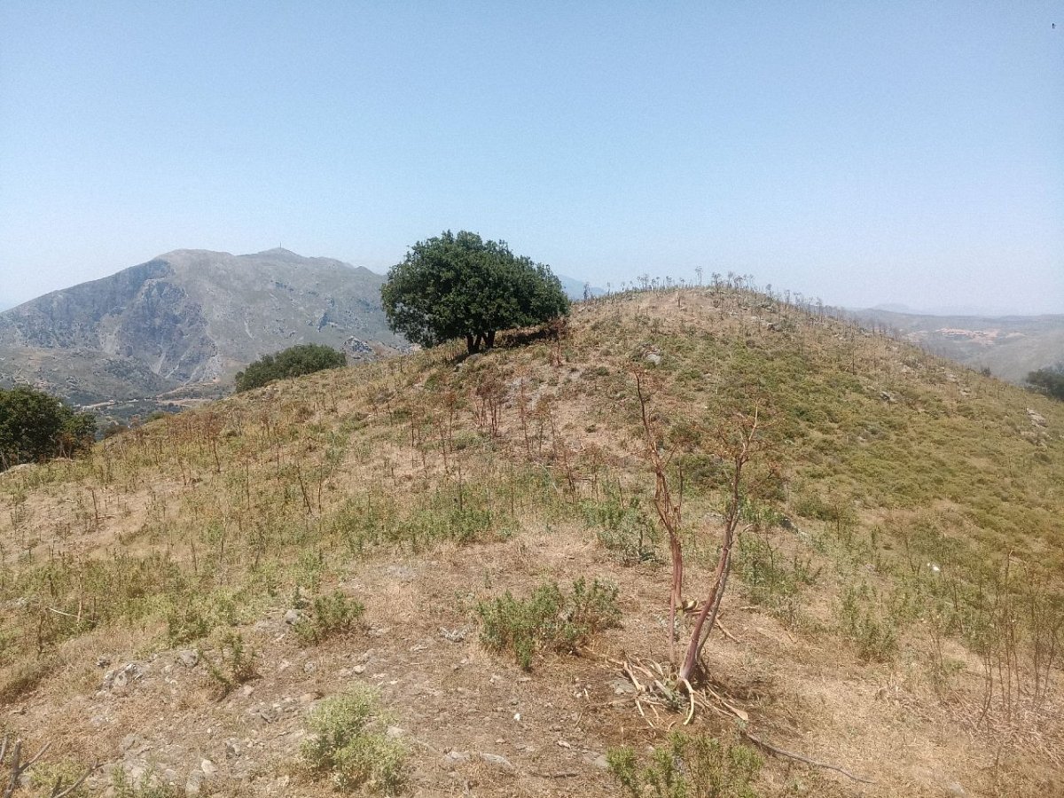 Πιζανη (662 m)