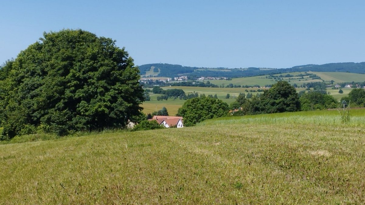 Hlavatého kopec (710 m)