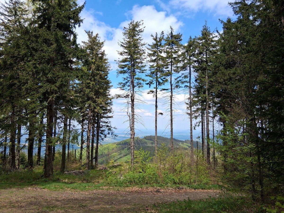 Kykulka (996&nbsp;m)
