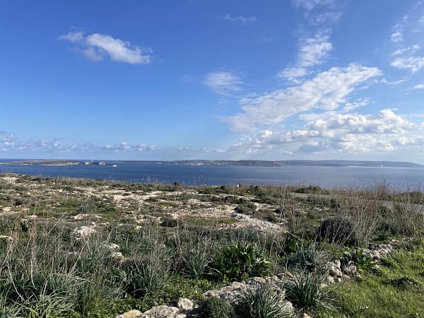 Il-Qortin iż-Żgħir