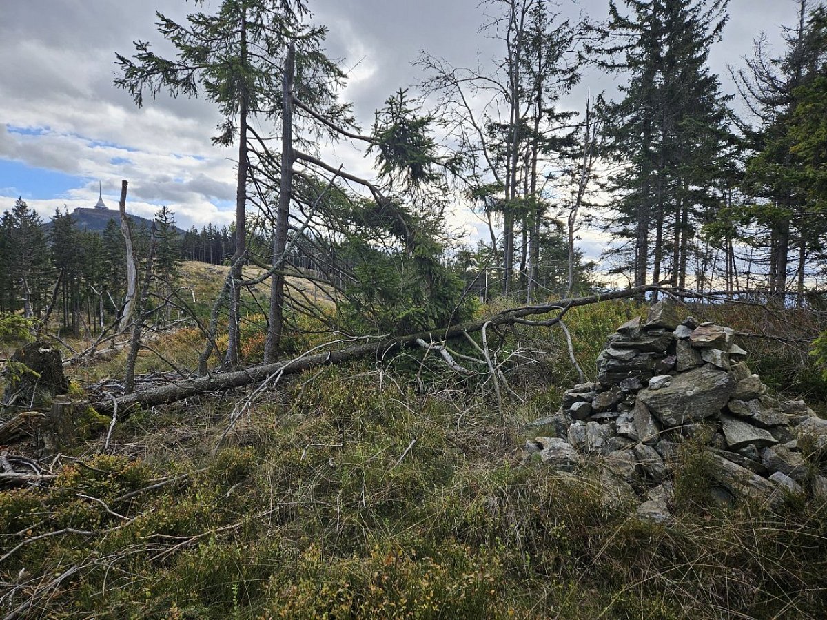 Černá hora (811 m)