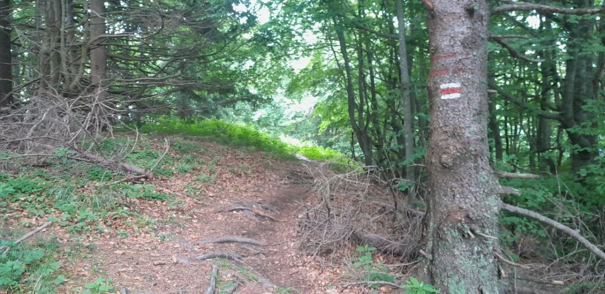 Zákres (1284&nbsp;m)