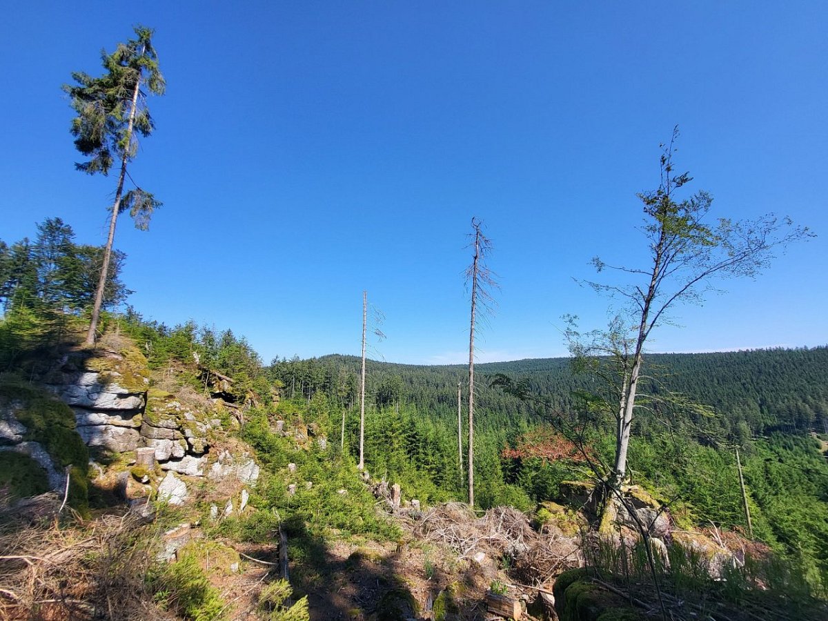 Lovčí hřbet (985&nbsp;m)