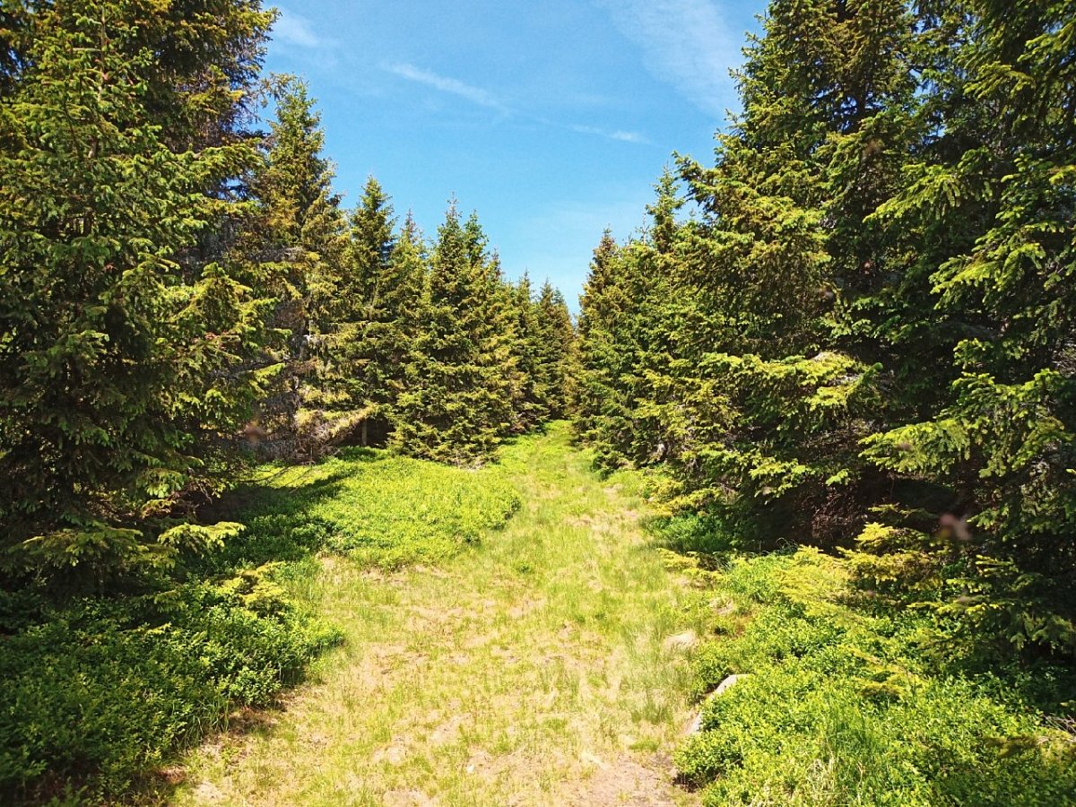 Široká hora (1134&nbsp;m)