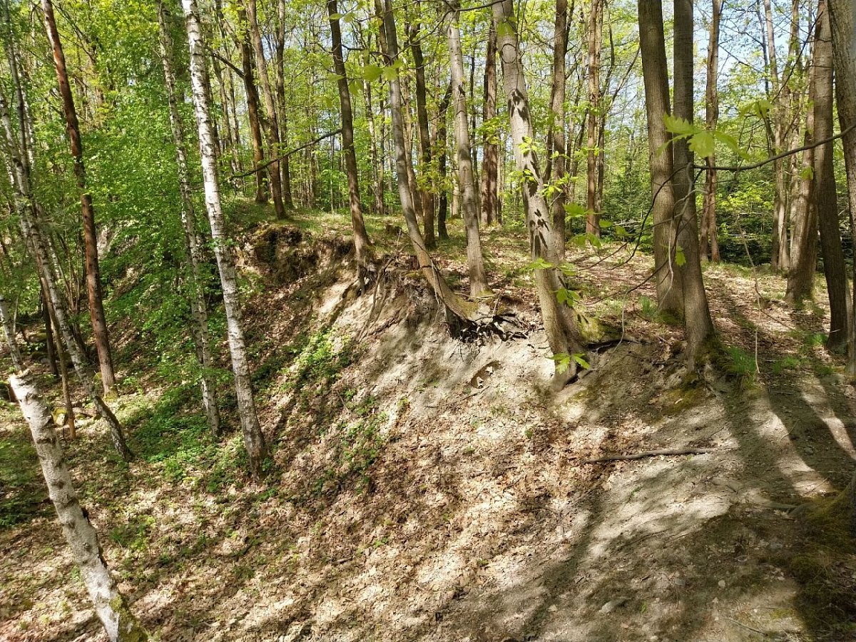 Chlumec (399 m)
