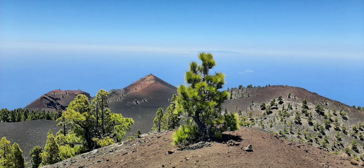 Montaña Cabrera (1699&nbsp;m)