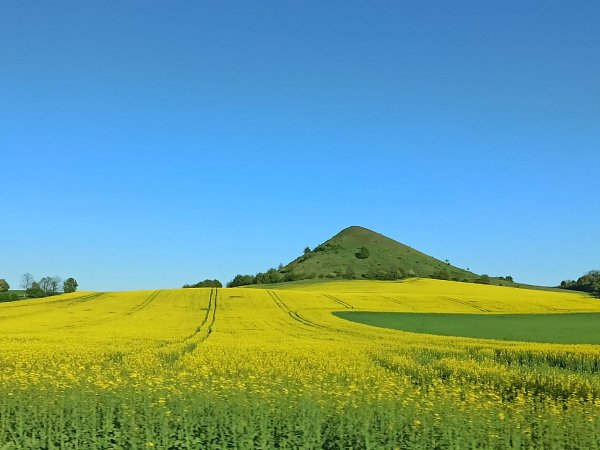 Čičov