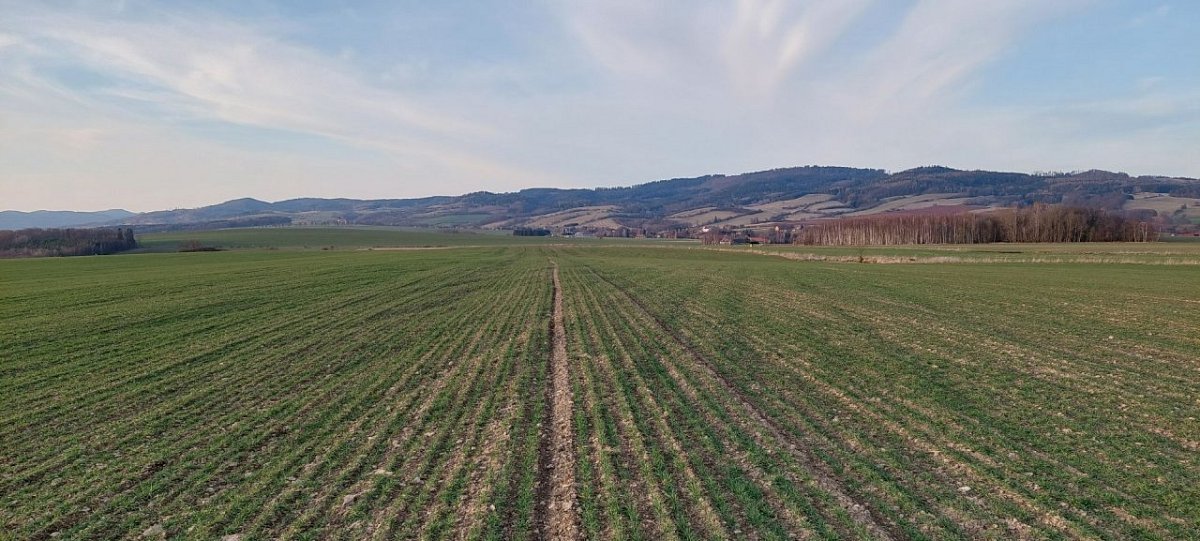 Otovický vrch (426&nbsp;m)