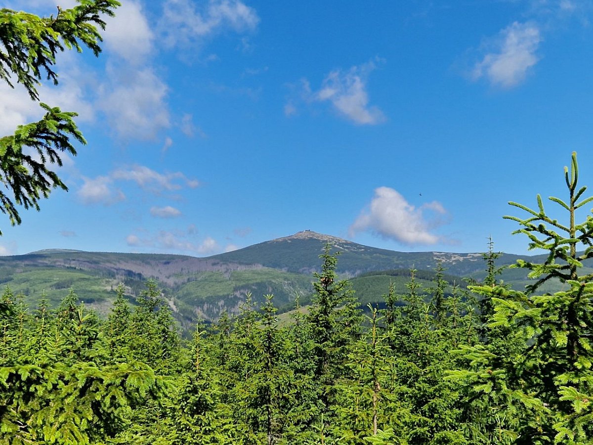 Dlouhý hřeben (1085&nbsp;m)