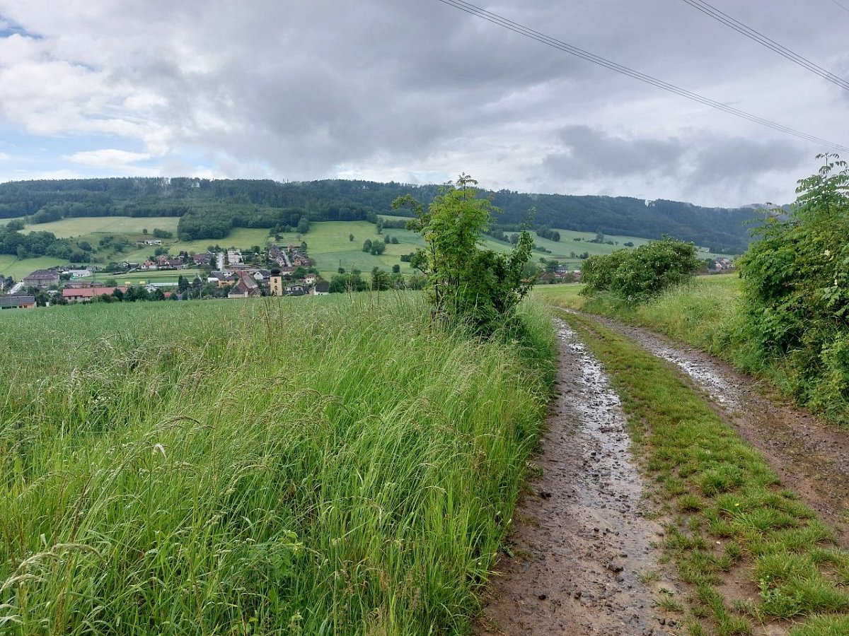 U Třech lip (411&nbsp;m)