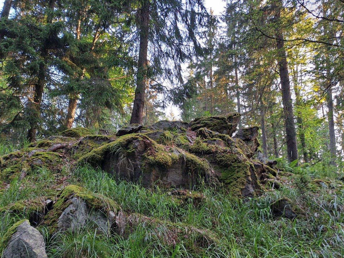 Liščí hora (1049&nbsp;m)
