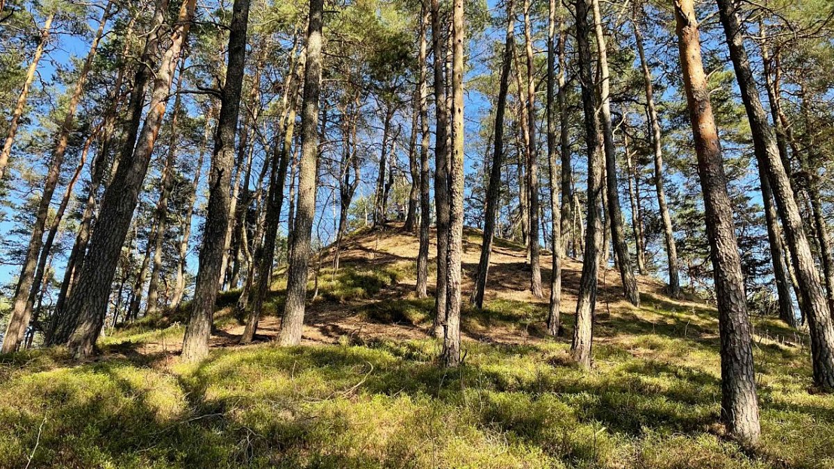Ostrá horka (552 m)