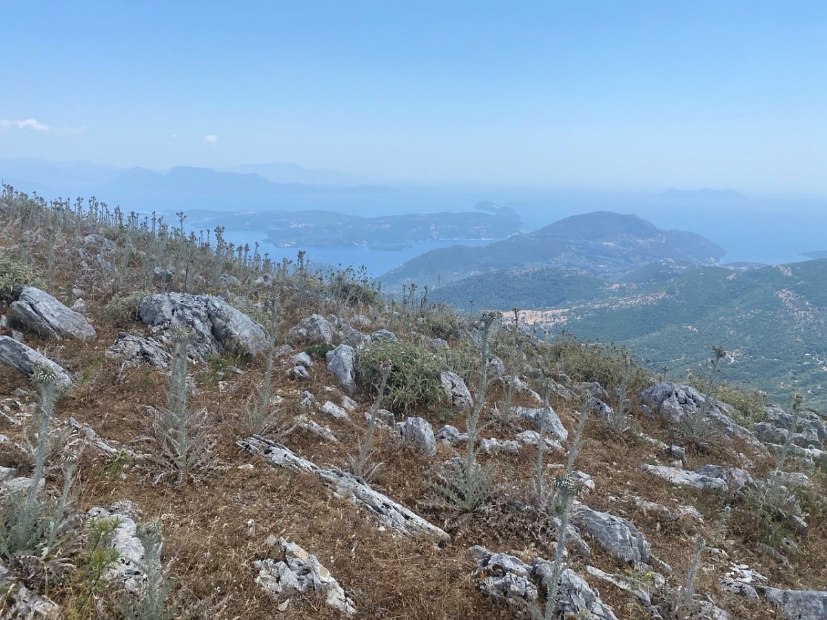 Alevrata (1037&nbsp;m)