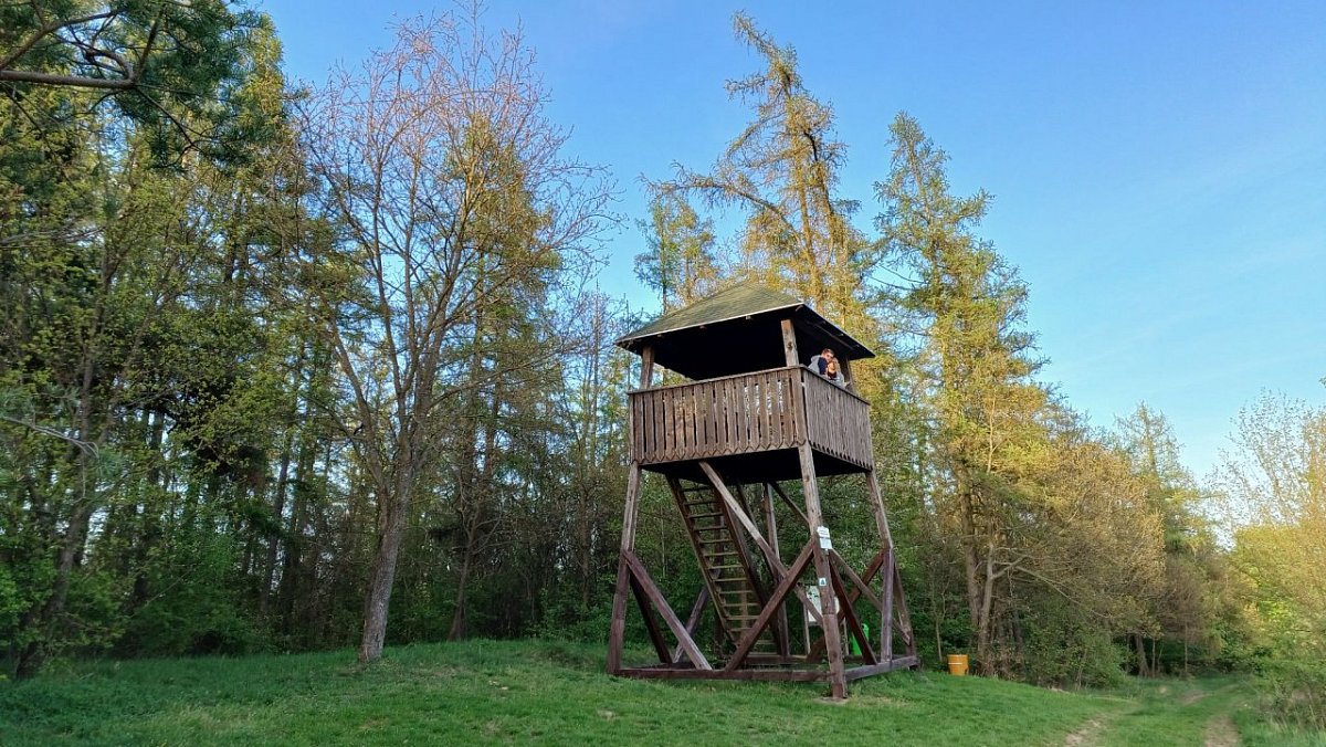 Křivoš (464&nbsp;m)