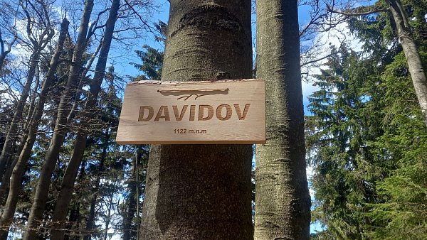 Davidov