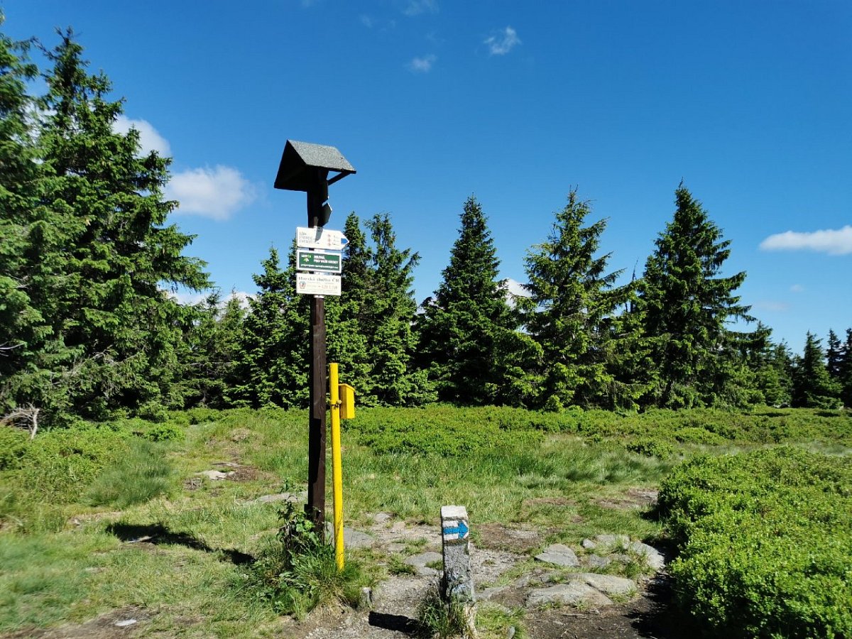 Podbělka (1307&nbsp;m)