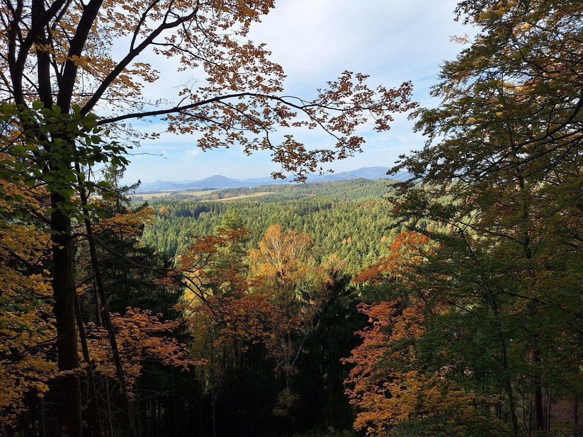 Buková (468 m)