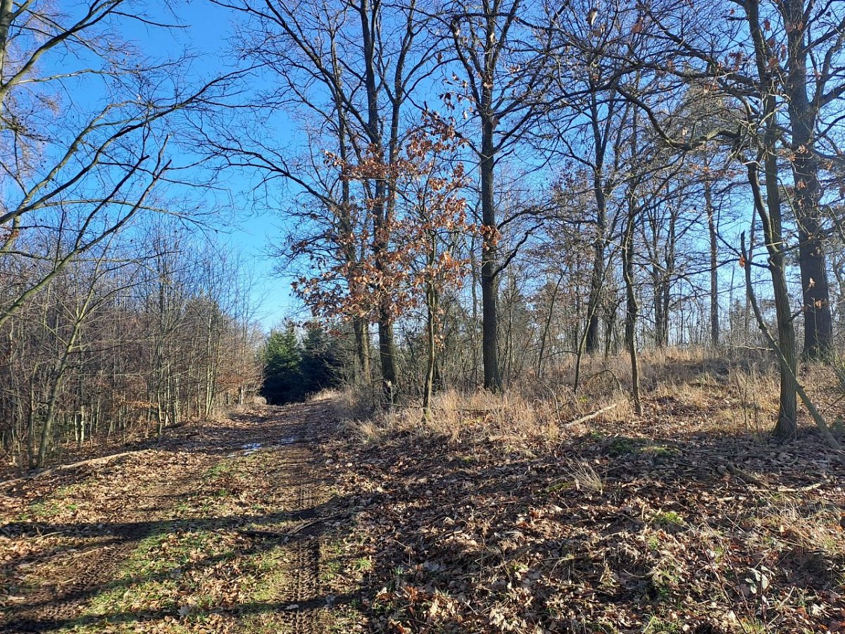 Starý vrch (377 m)