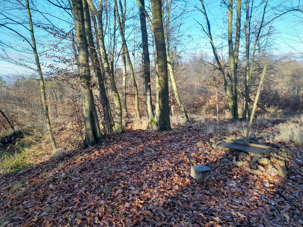 Kopeček (479 m)