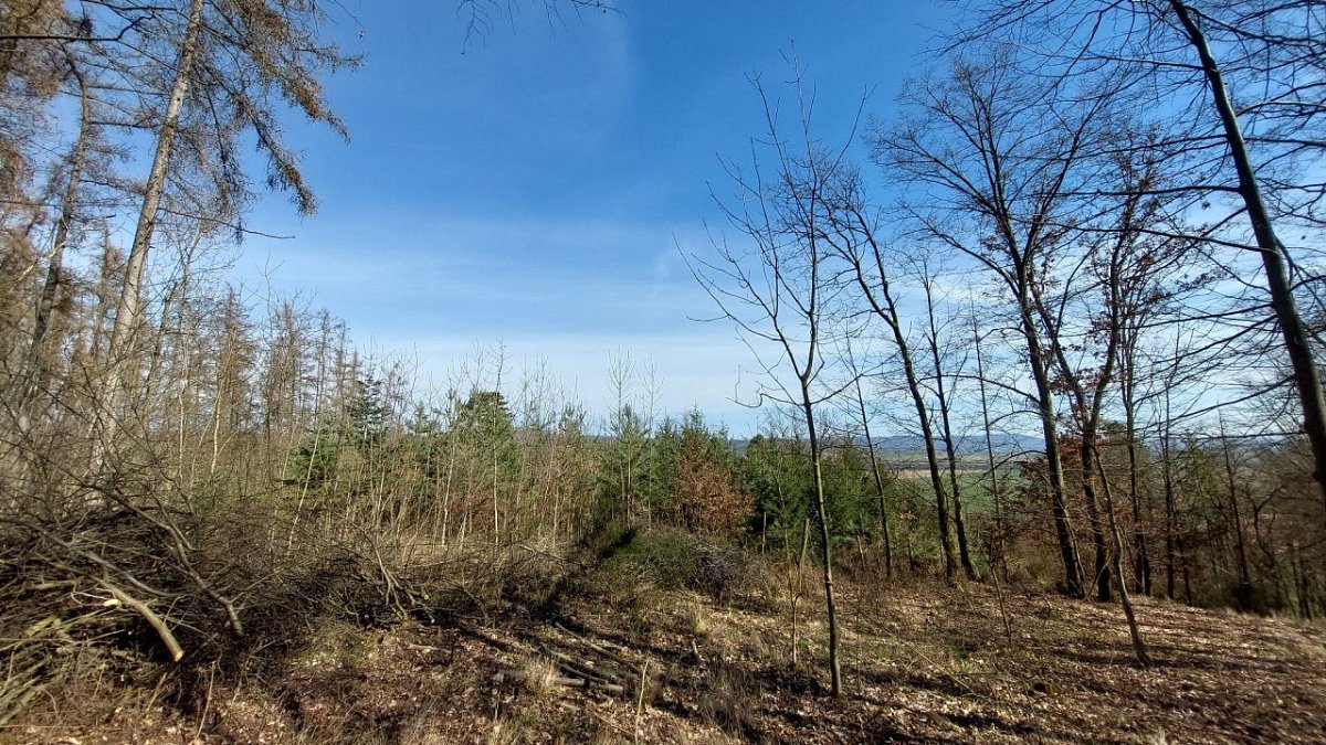 Velká horka (331 m)