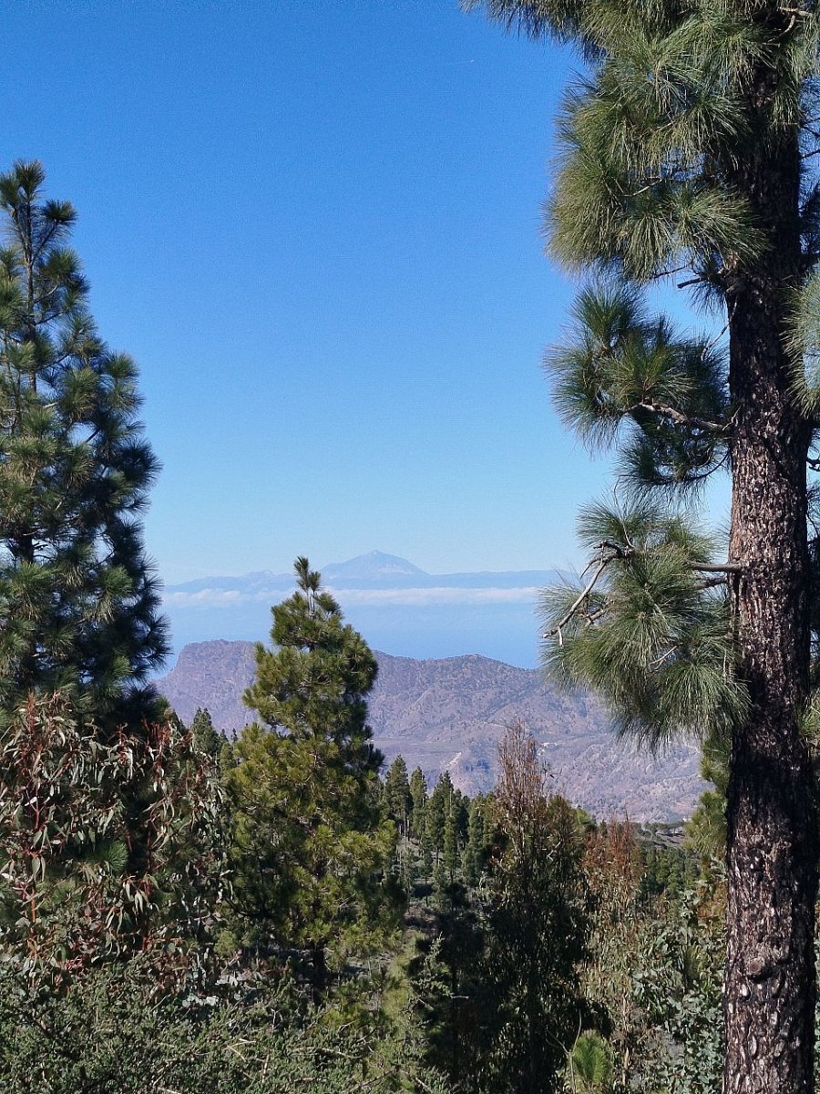 Montaña de Las Mejoranas (1726 m)