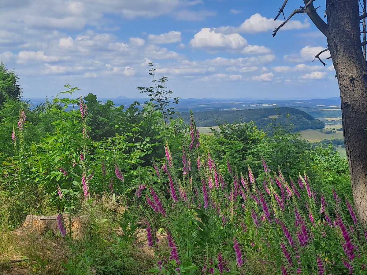 Mandlová hora (615 m)