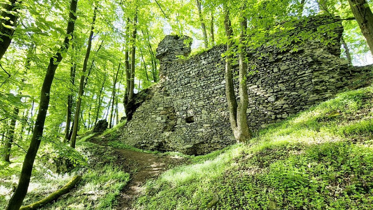 Stará Dubá - zřícenina (343&nbsp;m)