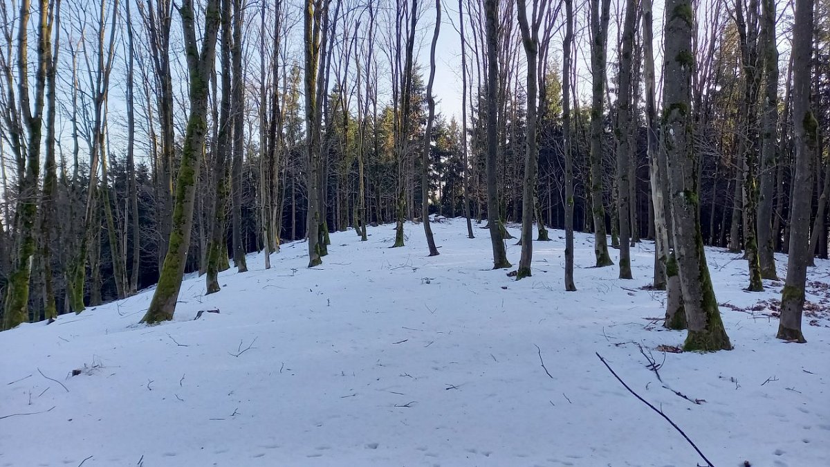 Kámen (685&nbsp;m)