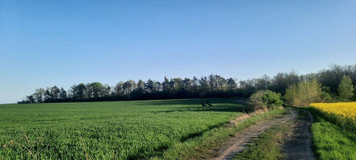 Na Bezdězi (214 m)