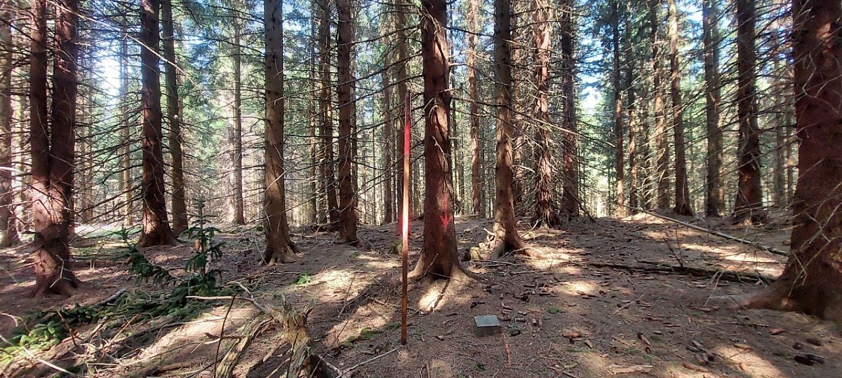 Kopřivná (1019&nbsp;m)