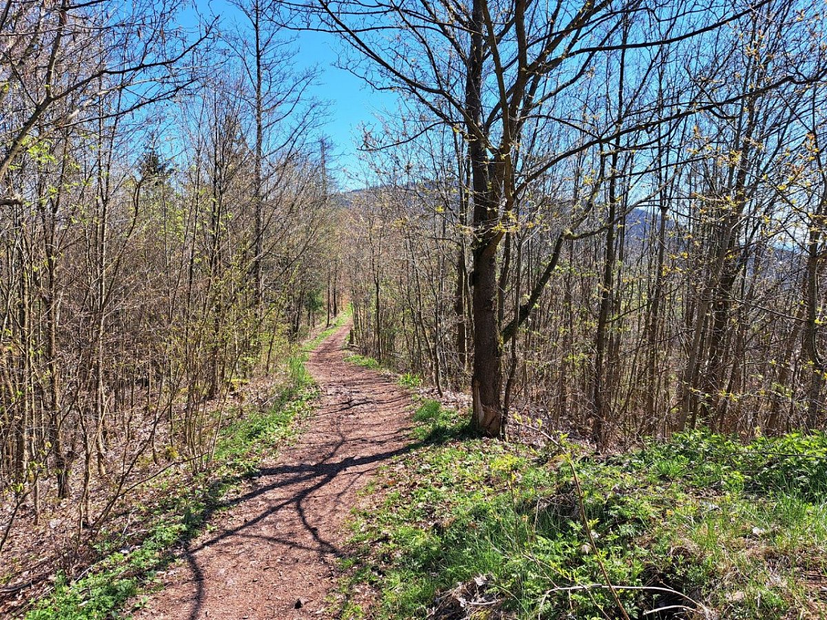Prackovský vrch (584 m)