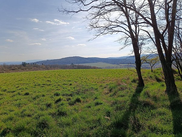 Eliška