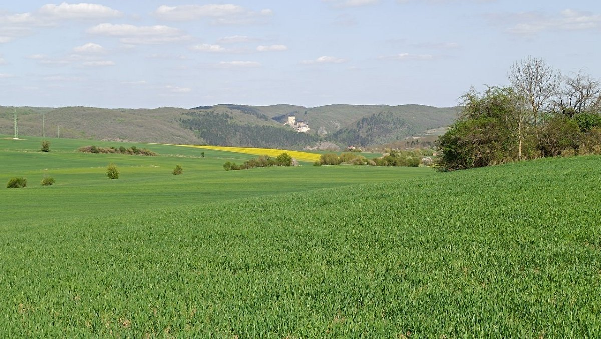 Jaruška (358 m)