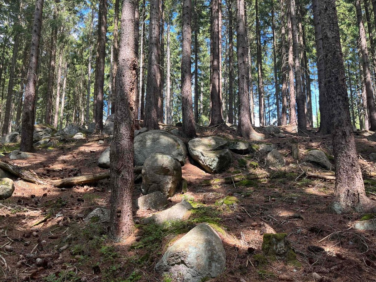 Kamenná hůrka (831 m)
