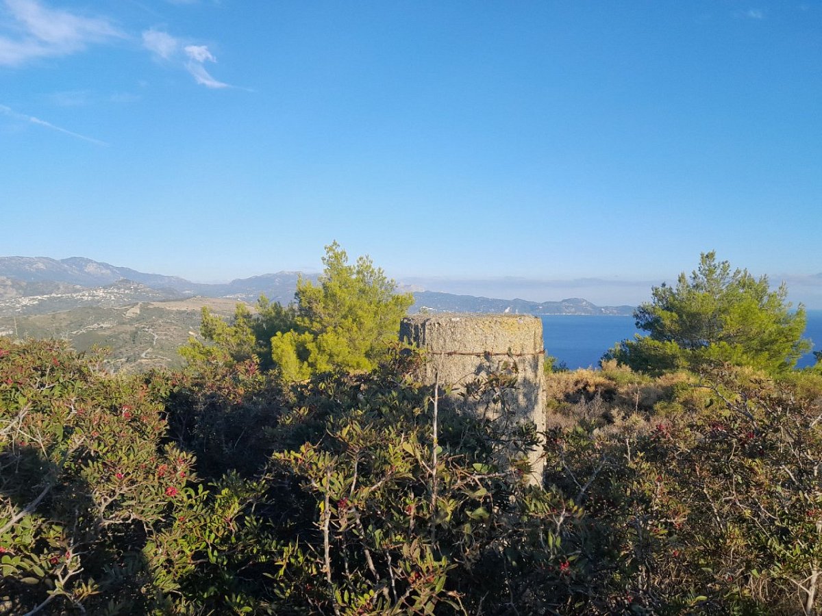 Παλιούρια (229&nbsp;m)
