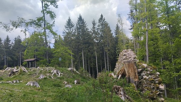 Kynžvart - zřícenina hradu