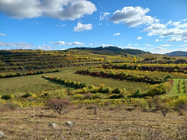 Růžový vrch