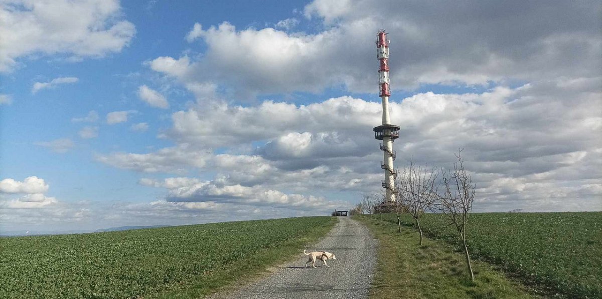 Kaní hůra (347 m)