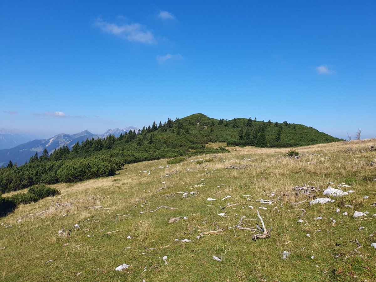 Korenščica (1764&nbsp;m)