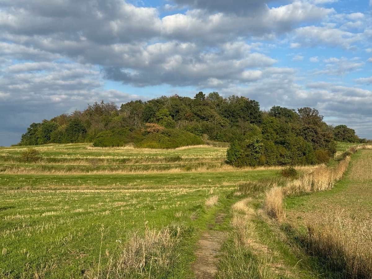 Číčovický kamýk (345&nbsp;m)
