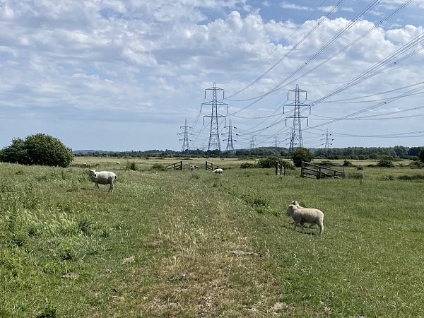 Barrow Hill