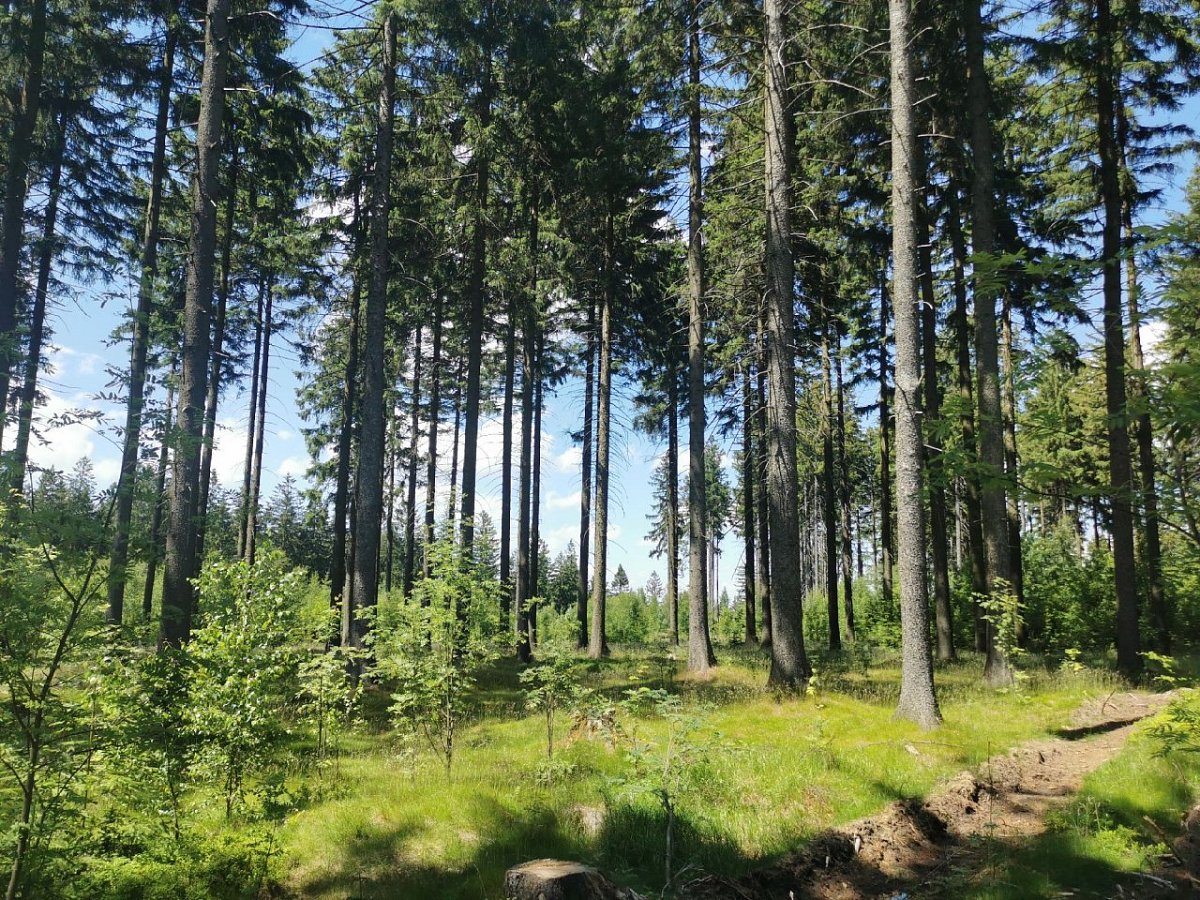 Hradešín (630&nbsp;m)