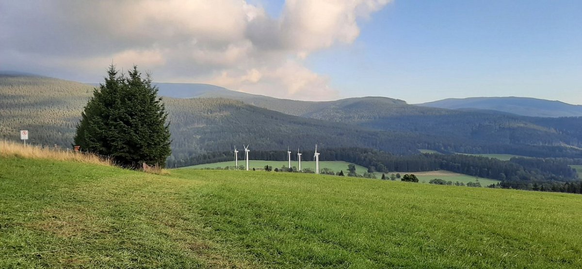 Stráž (835 m)