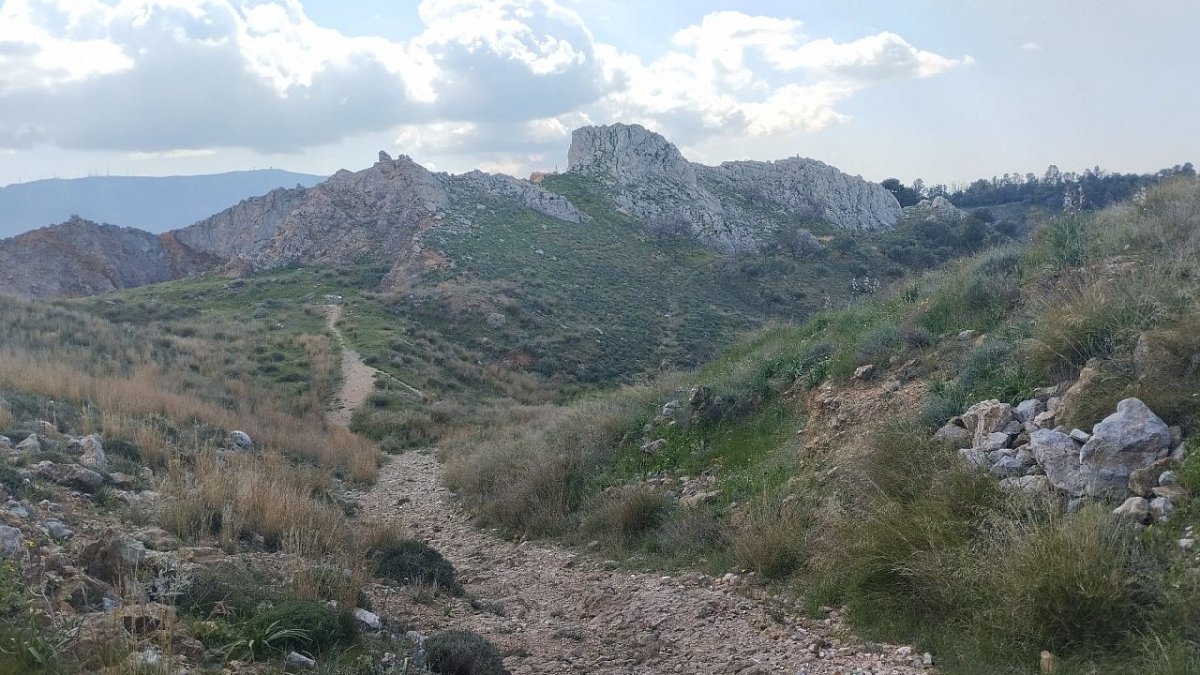 Outcrop tower (310&nbsp;m)