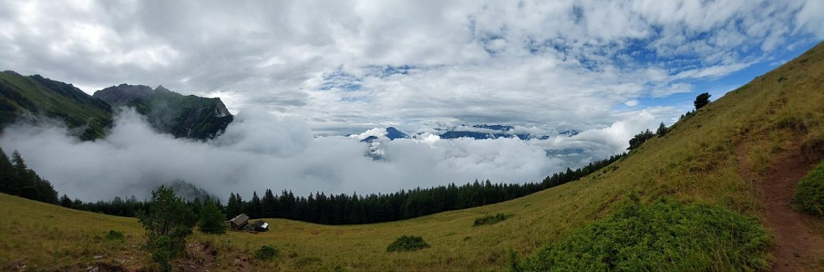 Wörznerhorn (1713&nbsp;m)