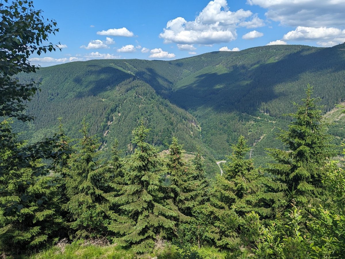 Tupý vrch (1123&nbsp;m)