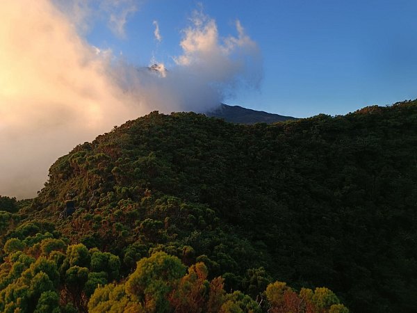 Pico da Urze