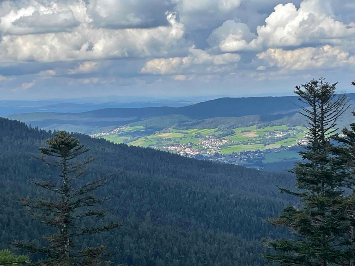 Hochstätter (1084&nbsp;m)