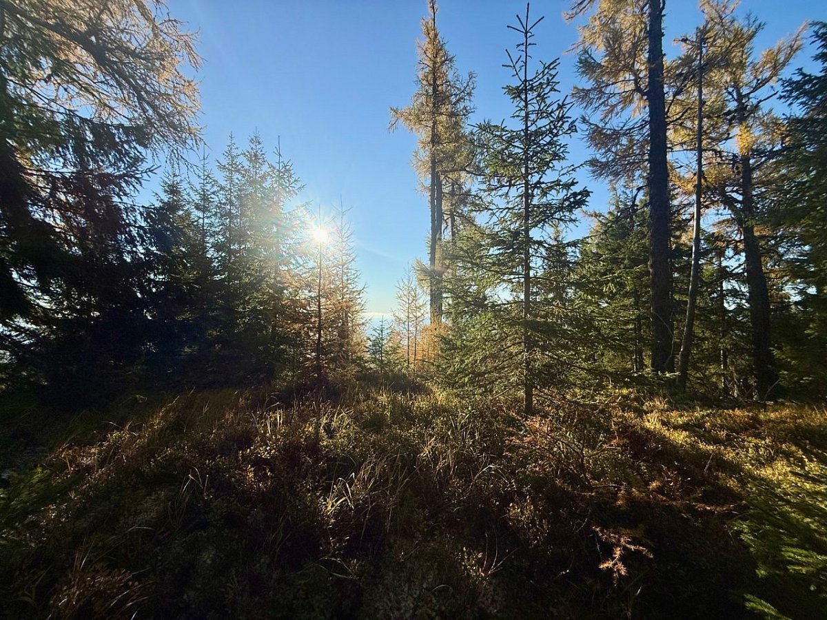 Veľký krížny kopec (1288&nbsp;m)