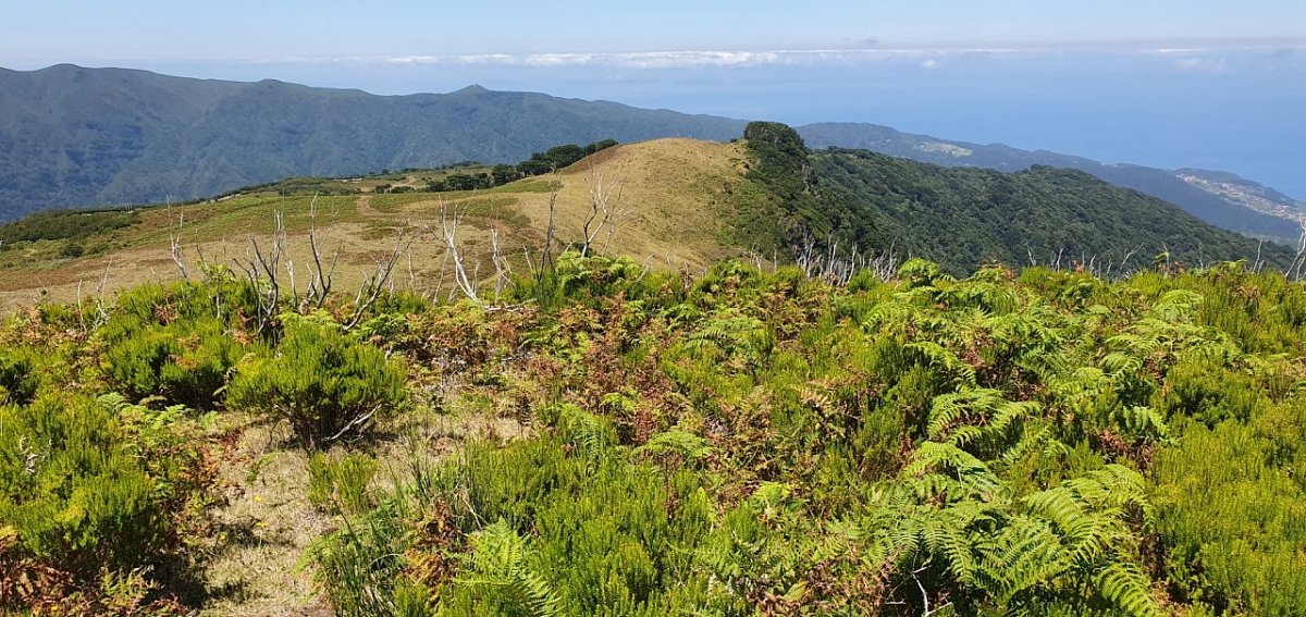 Pedreira (1242 m)